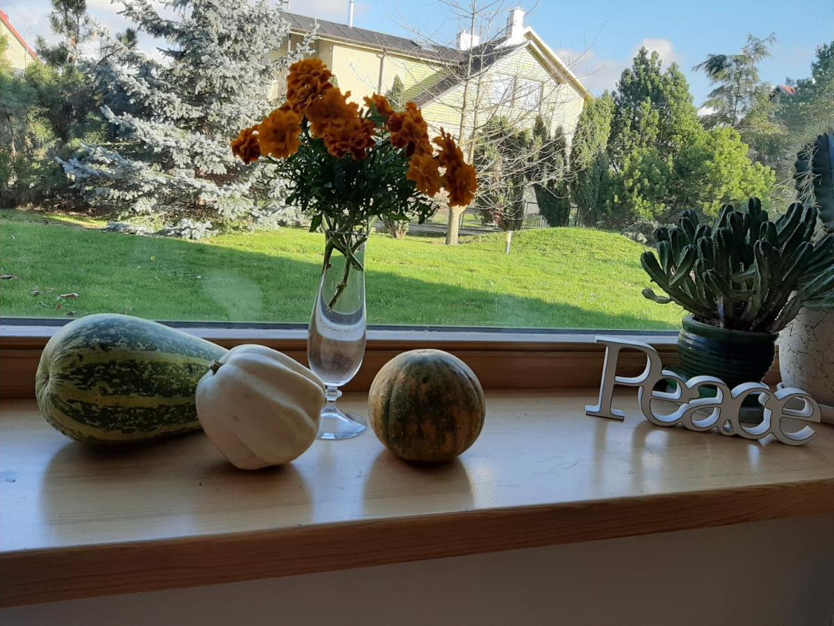 Apartamentai Luna Panevėžys Extérieur photo